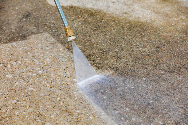 Best Roof Washing  in Roseland, NJ